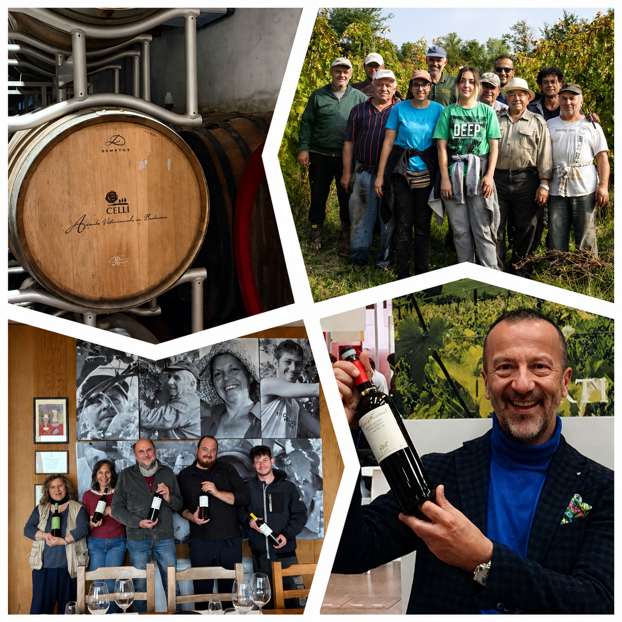 LE GRILLAIE ROMAGNA DOC SANGIOVESE SUPOR